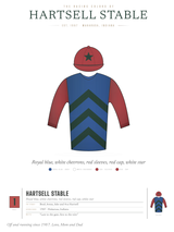 Our Racing Silks shirt, worn