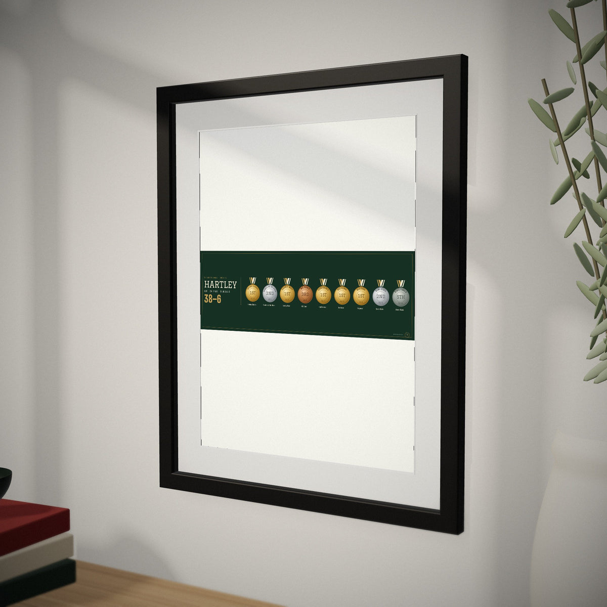 The Medal Wall up close, showing the frame and mat