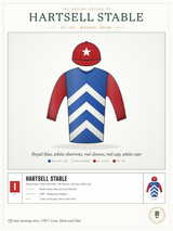 Our Racing Silks print