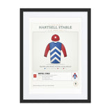 Our Racing Silks print