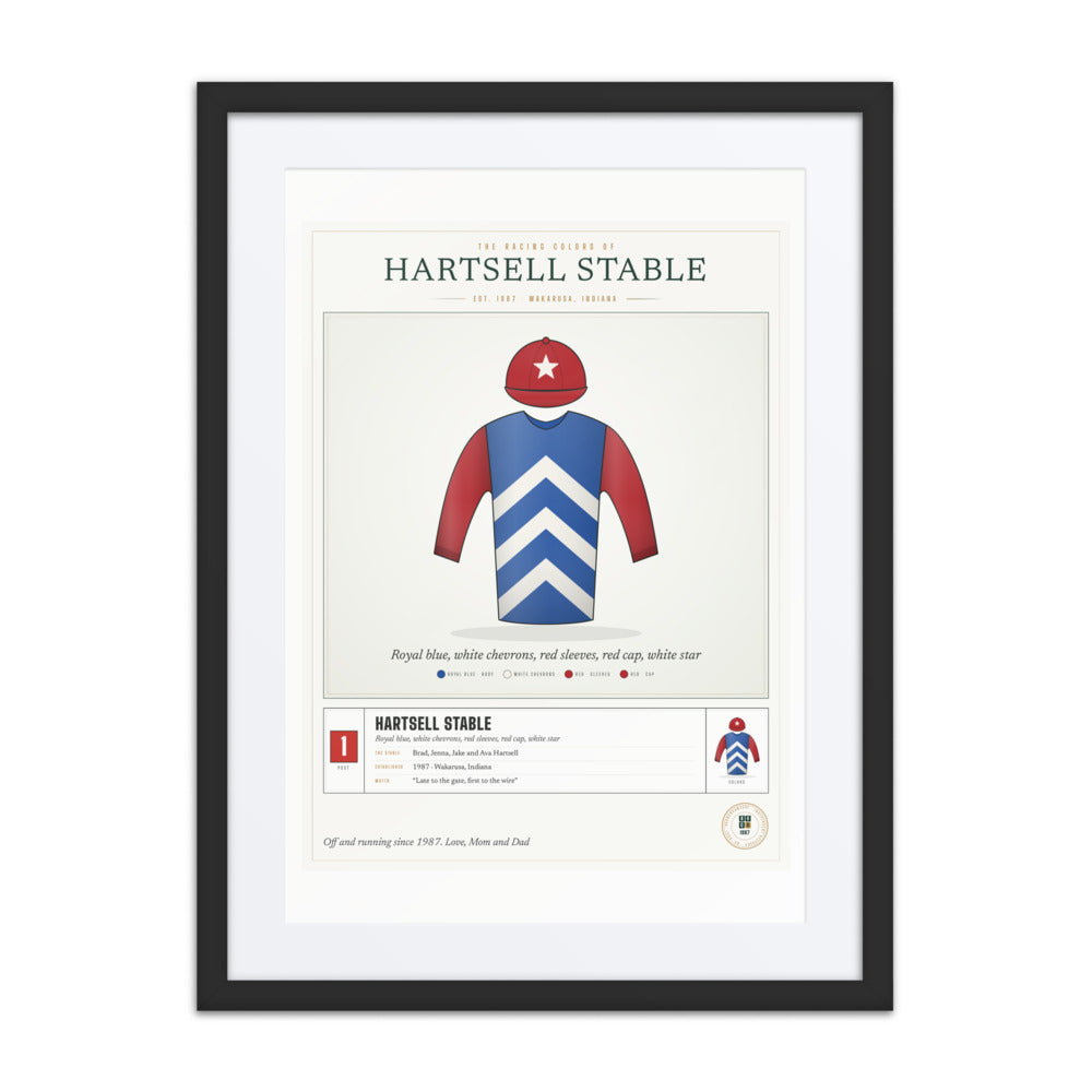 Our Racing Silks print