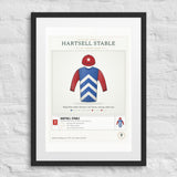 Our Racing Silks print