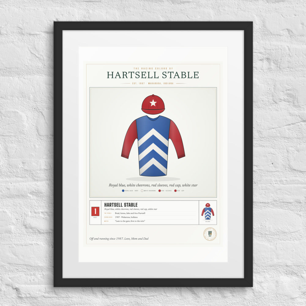 Our Racing Silks print