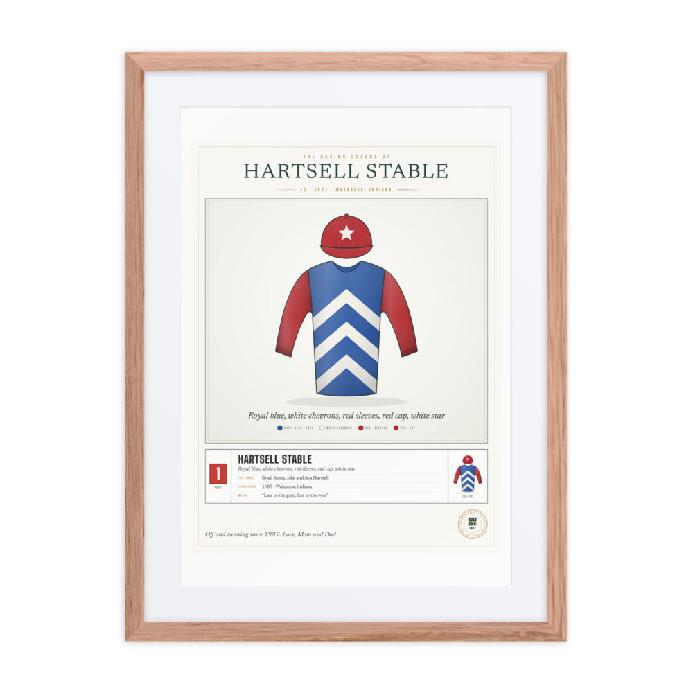 Our Racing Silks print