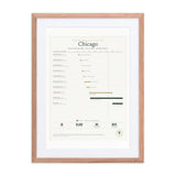 Every Ballpark This City Ever Had print