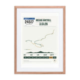 Leadville Trail Marathon Finisher Print print