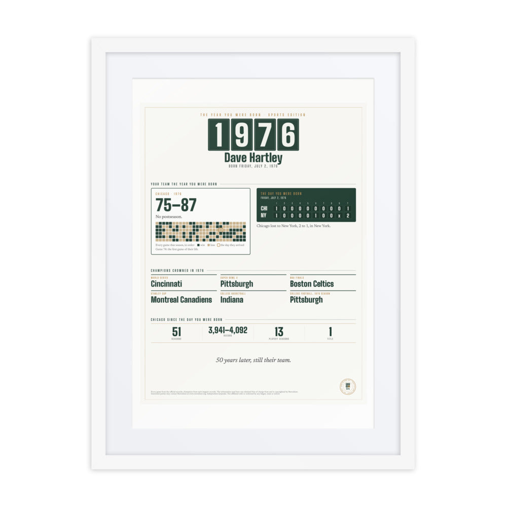 The Year You Were Born, Sports Edition print