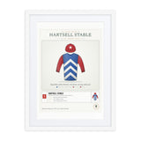 Our Racing Silks print