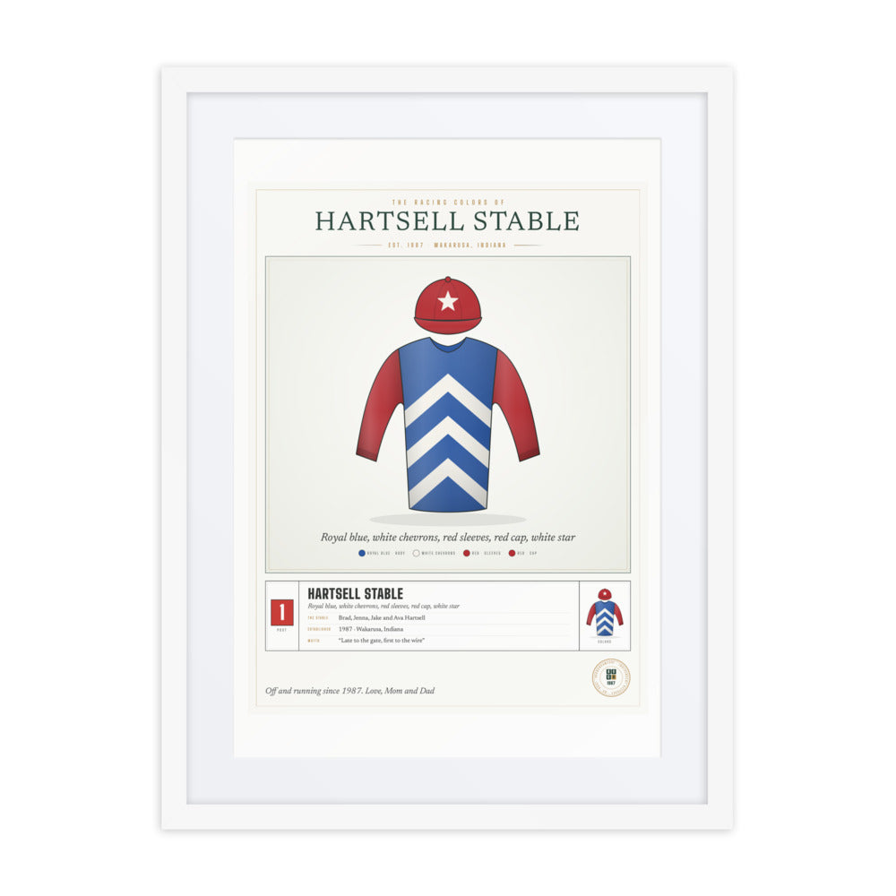 Our Racing Silks print
