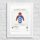 Our Racing Silks print
