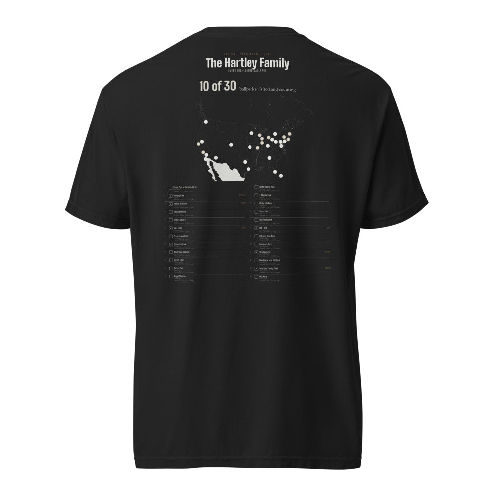 The Lost Ballparks I Saw shirt, worn