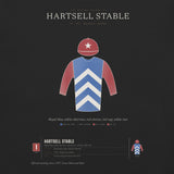 Our Racing Silks shirt, worn